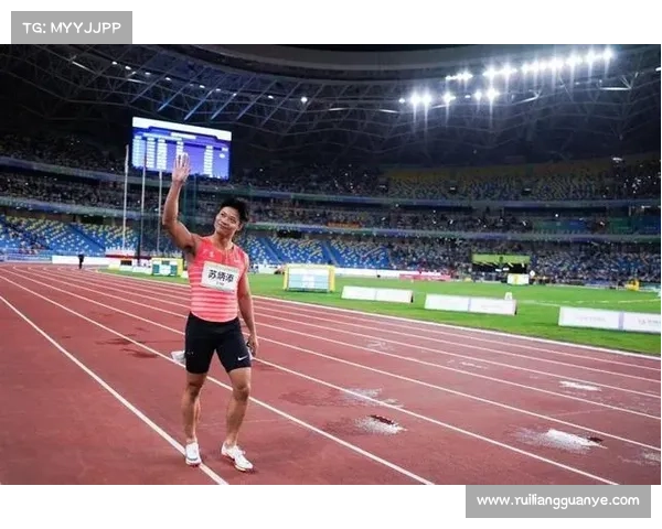 2017苏炳添赛事—2017年苏炳添全运会