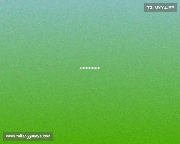 全球足球赛事都可以看的网站