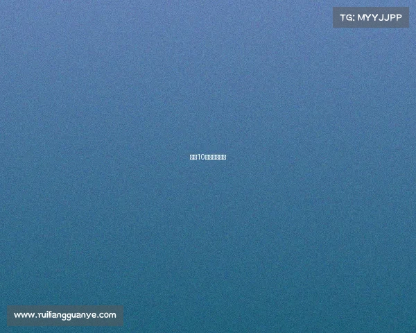 女排10月赛事时间表