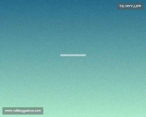 年度美国超级碗体育盛事全民狂欢激情巅峰之夜