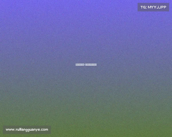 最大非法赛事-世界最大非法赛车