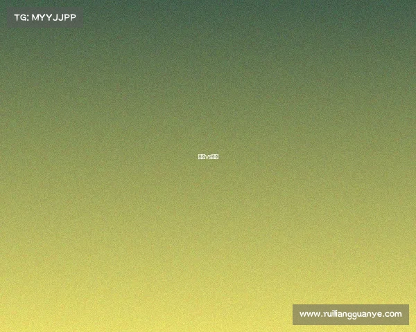 白天vs黑夜 白天vs黑夜