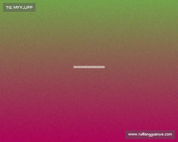 组委会介绍赛事规程、组委会介绍赛事规程内容